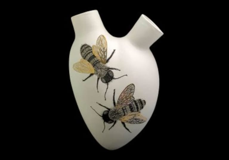 Elica, image 3