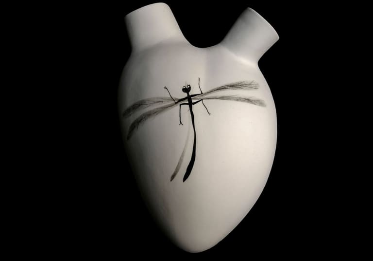 Elica, image 5