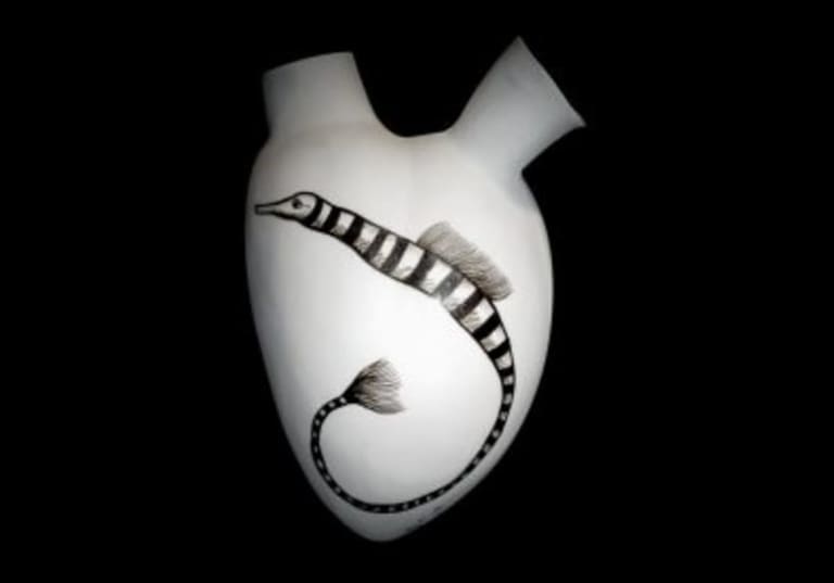 Elica, image 6