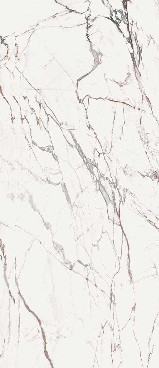 Surface Design, image 4