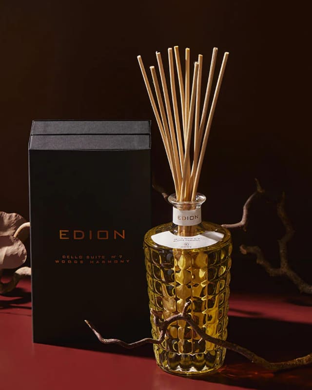 Edion at IF HUB